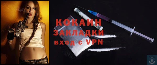 твердый Балахна