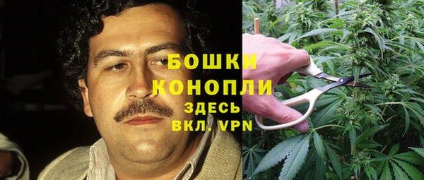 эйфоретик Баксан