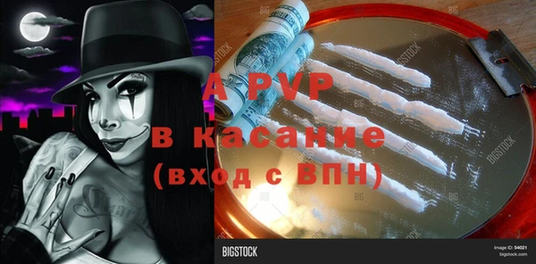 эйфоретик Баксан
