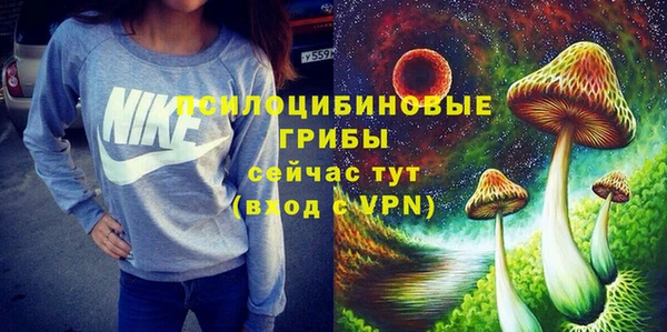твердый Балахна